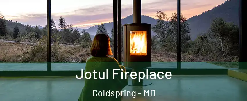Jotul Fireplace Coldspring - MD