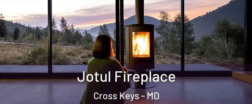Jotul Fireplace Cross Keys - MD