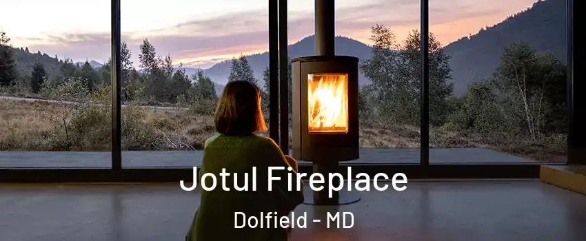 Jotul Fireplace Dolfield - MD