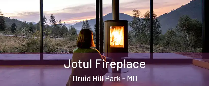 Jotul Fireplace Druid Hill Park - MD