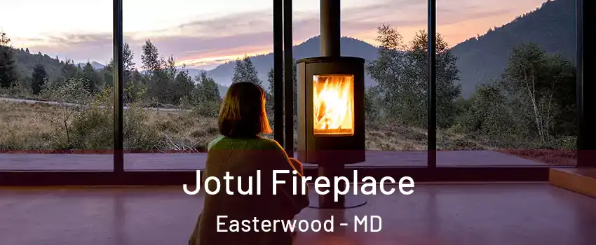 Jotul Fireplace Easterwood - MD