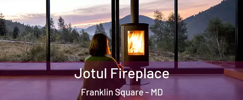 Jotul Fireplace Franklin Square - MD