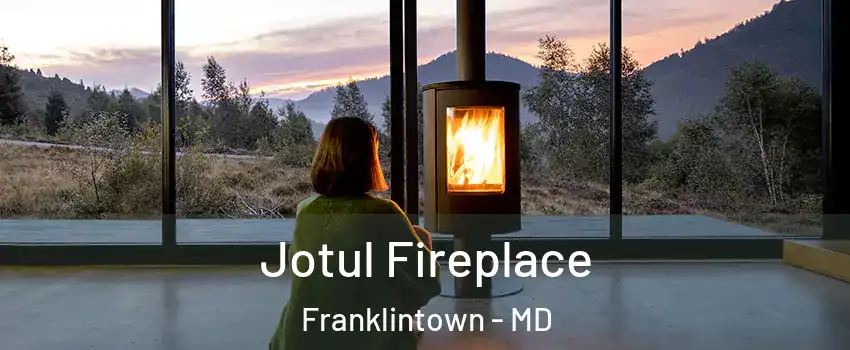 Jotul Fireplace Franklintown - MD