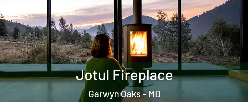 Jotul Fireplace Garwyn Oaks - MD