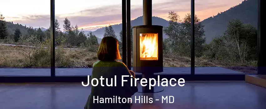 Jotul Fireplace Hamilton Hills - MD