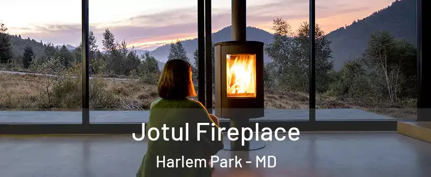 Jotul Fireplace Harlem Park - MD