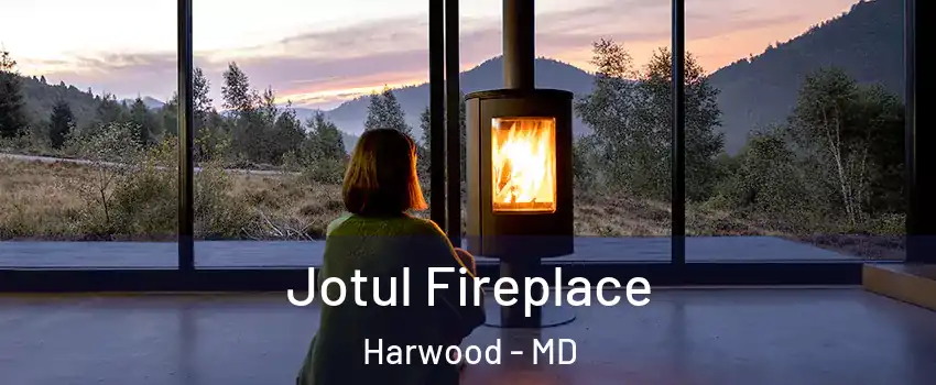 Jotul Fireplace Harwood - MD