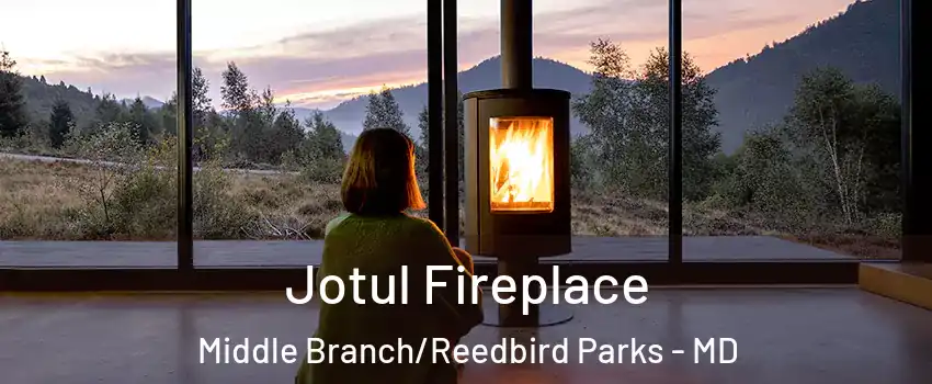 Jotul Fireplace Middle Branch/Reedbird Parks - MD