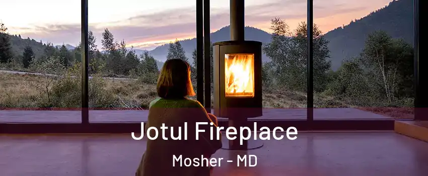 Jotul Fireplace Mosher - MD