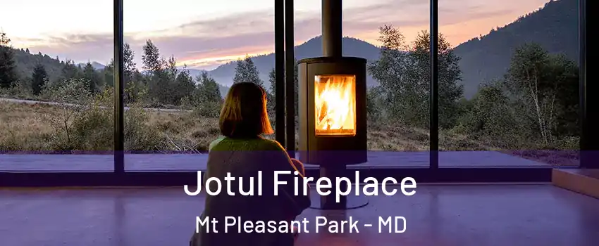 Jotul Fireplace Mt Pleasant Park - MD