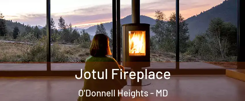 Jotul Fireplace O'Donnell Heights - MD