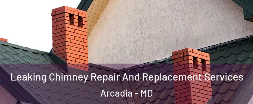 Leaking Chimney Repair And Replacement Services Arcadia - MD