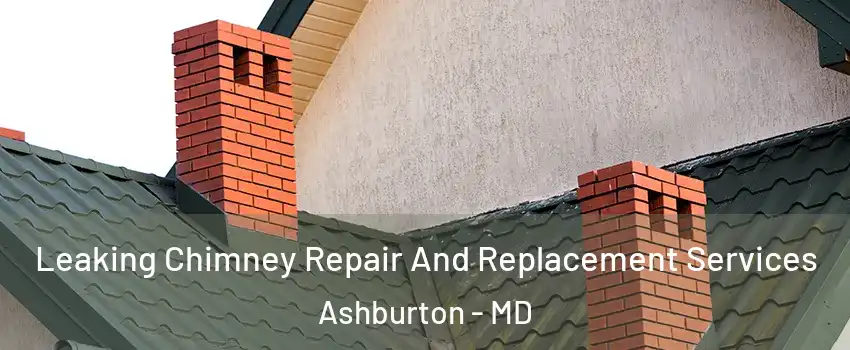 Leaking Chimney Repair And Replacement Services Ashburton - MD