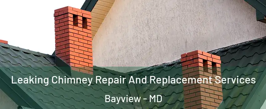 Leaking Chimney Repair And Replacement Services Bayview - MD