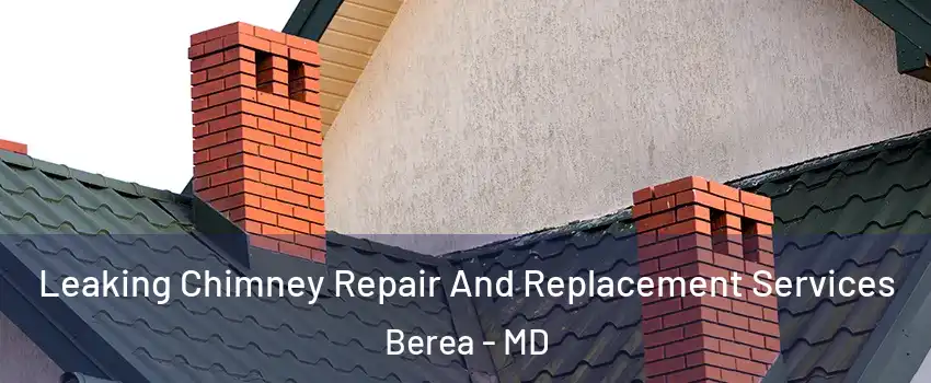 Leaking Chimney Repair And Replacement Services Berea - MD