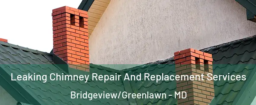 Leaking Chimney Repair And Replacement Services Bridgeview/Greenlawn - MD