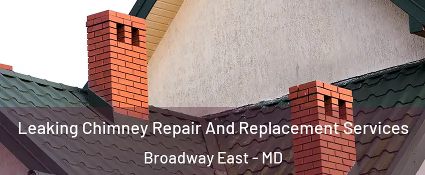Leaking Chimney Repair And Replacement Services Broadway East - MD