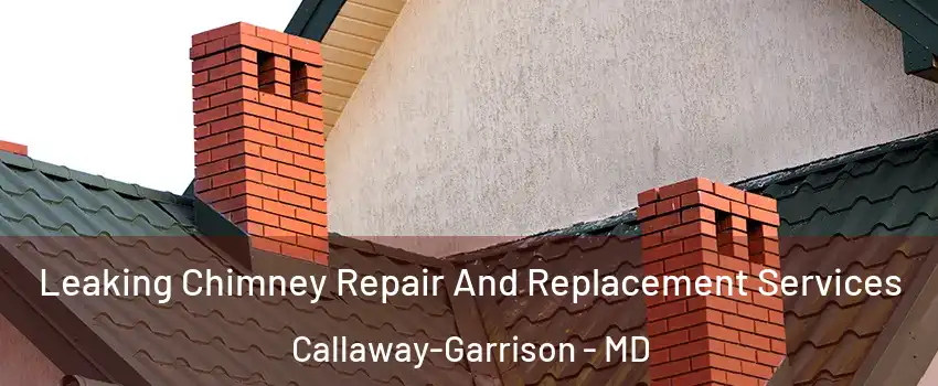 Leaking Chimney Repair And Replacement Services Callaway-Garrison - MD