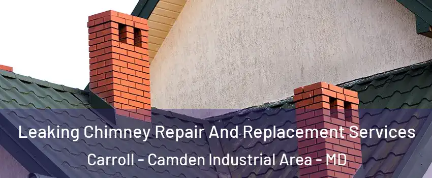Leaking Chimney Repair And Replacement Services Carroll - Camden Industrial Area - MD