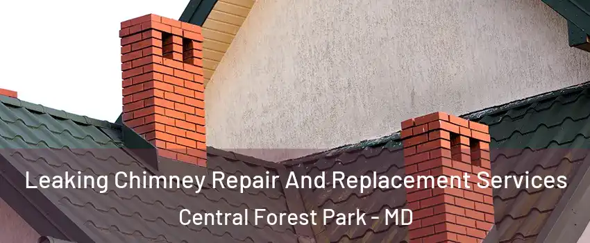Leaking Chimney Repair And Replacement Services Central Forest Park - MD