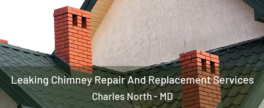 Leaking Chimney Repair And Replacement Services Charles North - MD