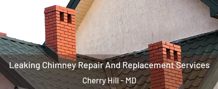 Leaking Chimney Repair And Replacement Services Cherry Hill - MD