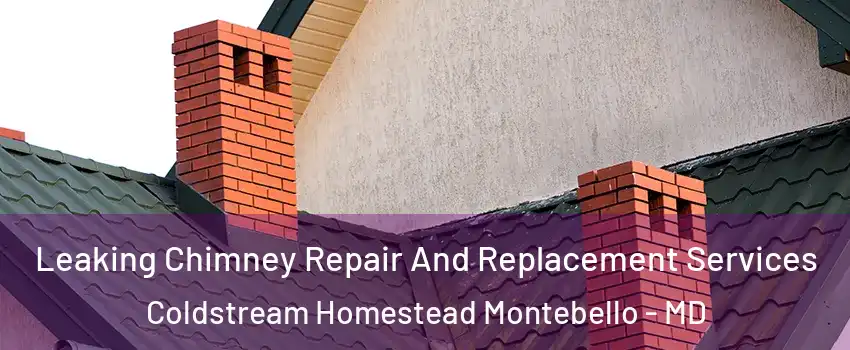 Leaking Chimney Repair And Replacement Services Coldstream Homestead Montebello - MD