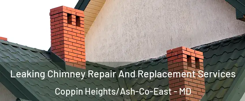 Leaking Chimney Repair And Replacement Services Coppin Heights/Ash-Co-East - MD