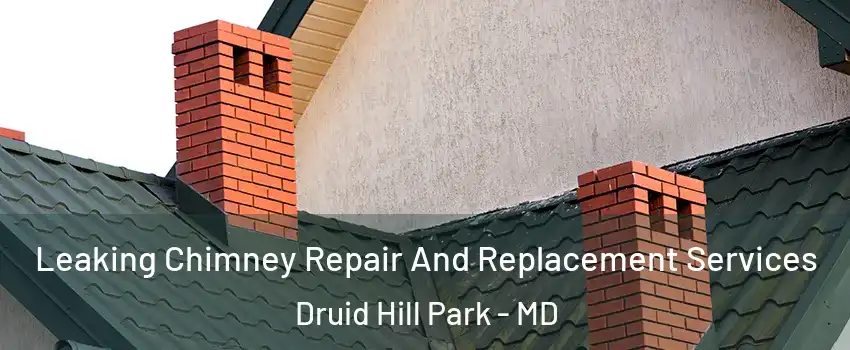 Leaking Chimney Repair And Replacement Services Druid Hill Park - MD