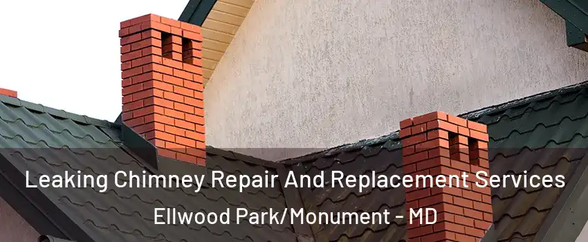 Leaking Chimney Repair And Replacement Services Ellwood Park/Monument - MD