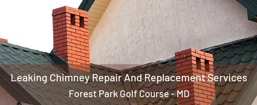 Leaking Chimney Repair And Replacement Services Forest Park Golf Course - MD