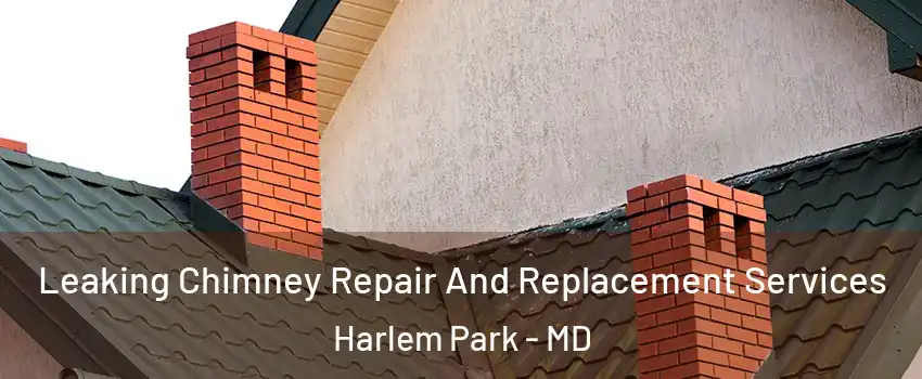 Leaking Chimney Repair And Replacement Services Harlem Park - MD