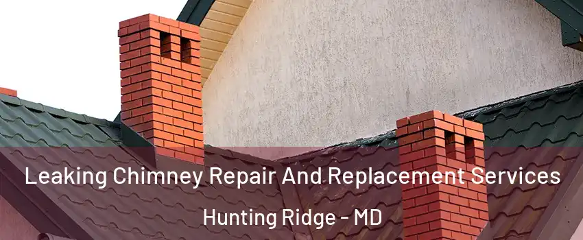 Leaking Chimney Repair And Replacement Services Hunting Ridge - MD