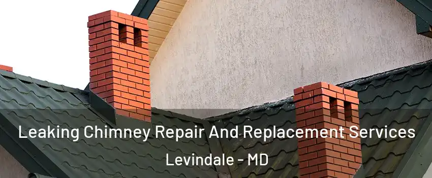 Leaking Chimney Repair And Replacement Services Levindale - MD