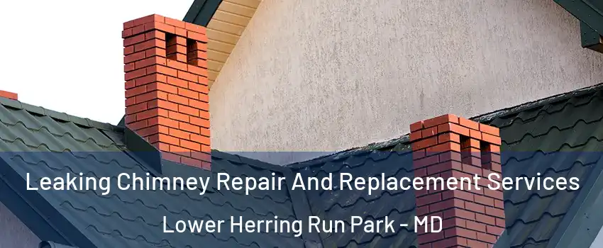 Leaking Chimney Repair And Replacement Services Lower Herring Run Park - MD