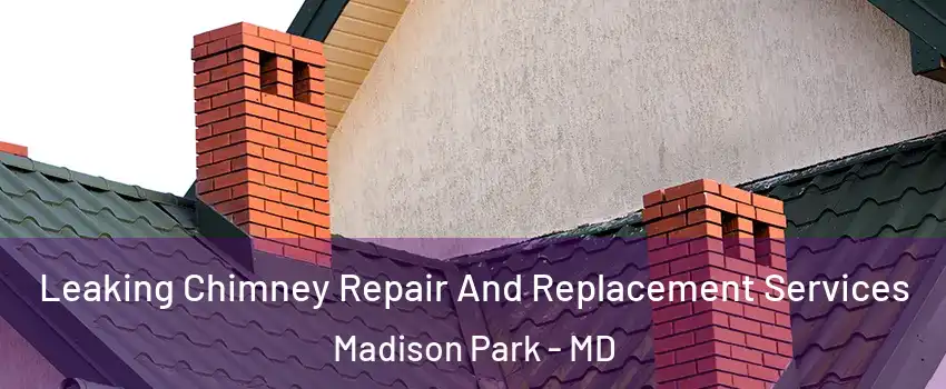 Leaking Chimney Repair And Replacement Services Madison Park - MD