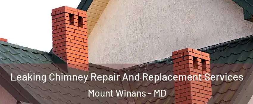 Leaking Chimney Repair And Replacement Services Mount Winans - MD