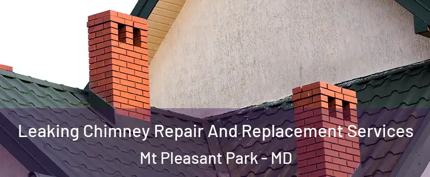 Leaking Chimney Repair And Replacement Services Mt Pleasant Park - MD
