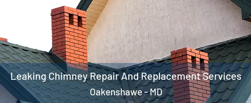Leaking Chimney Repair And Replacement Services Oakenshawe - MD