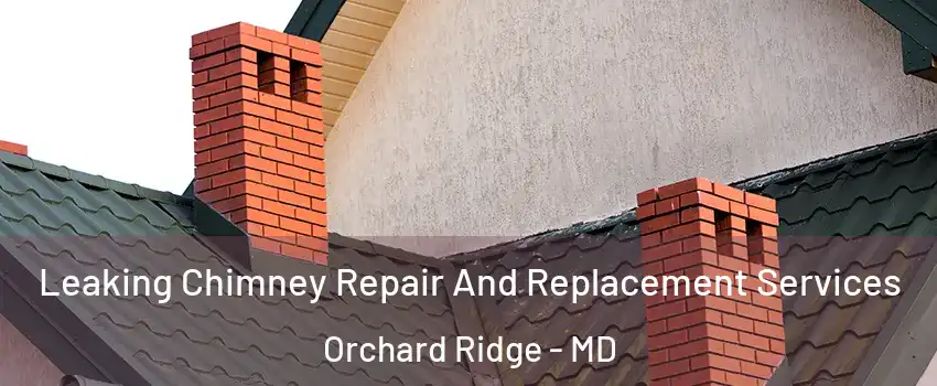 Leaking Chimney Repair And Replacement Services Orchard Ridge - MD
