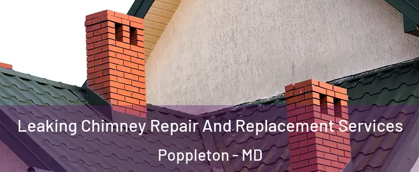 Leaking Chimney Repair And Replacement Services Poppleton - MD