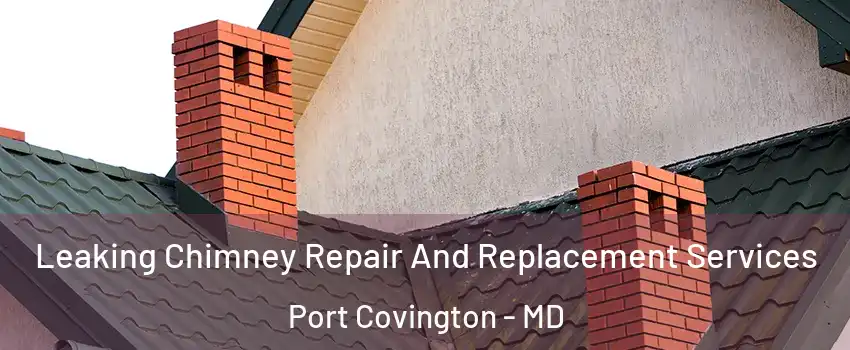 Leaking Chimney Repair And Replacement Services Port Covington - MD