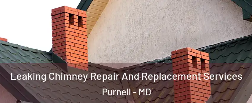 Leaking Chimney Repair And Replacement Services Purnell - MD