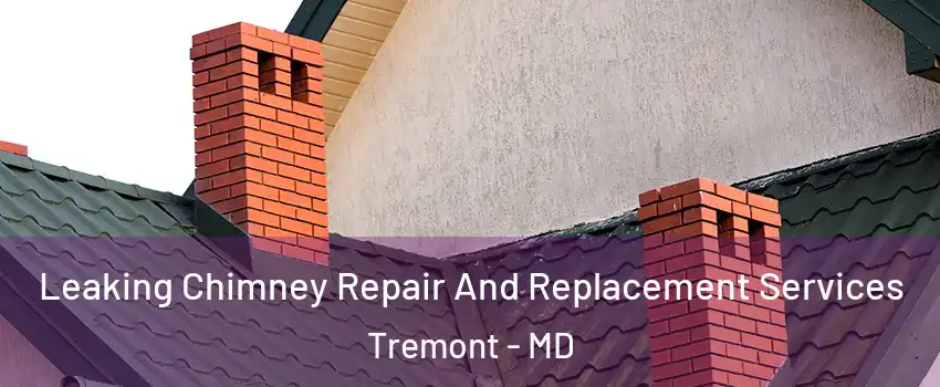 Leaking Chimney Repair And Replacement Services Tremont - MD