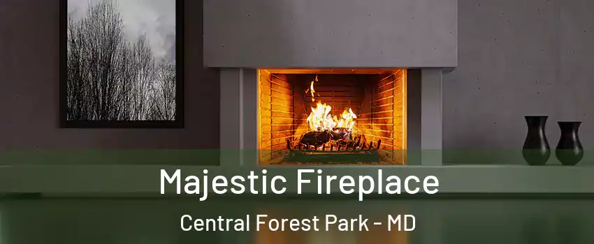 Majestic Fireplace Central Forest Park - MD