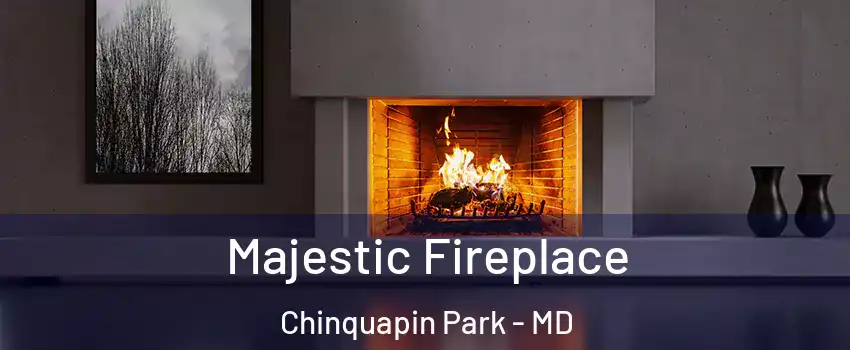 Majestic Fireplace Chinquapin Park - MD