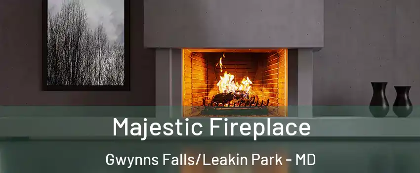 Majestic Fireplace Gwynns Falls/Leakin Park - MD