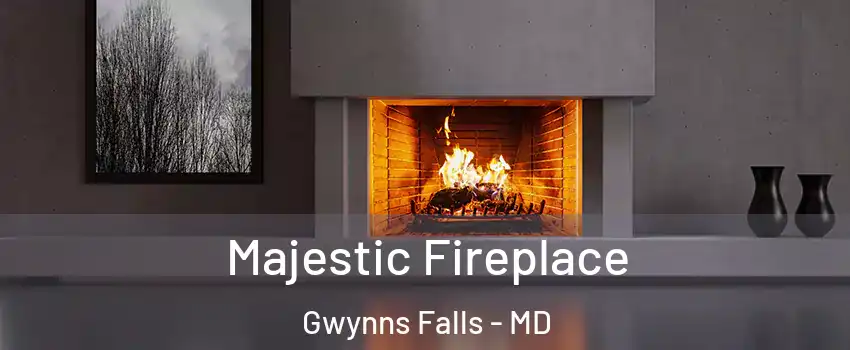 Majestic Fireplace Gwynns Falls - MD