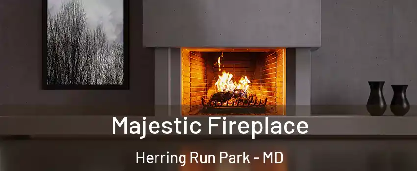 Majestic Fireplace Herring Run Park - MD