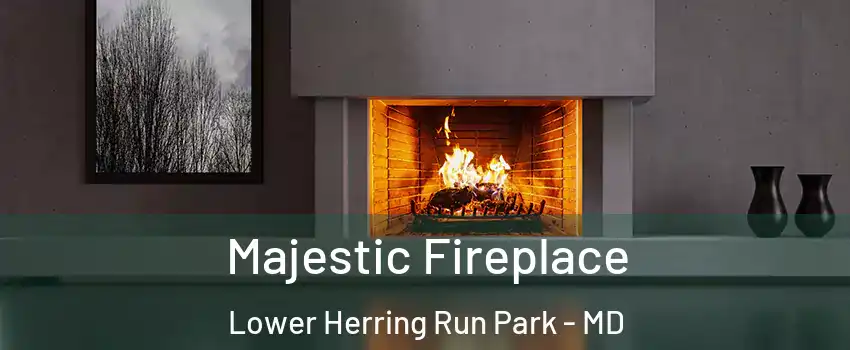 Majestic Fireplace Lower Herring Run Park - MD
